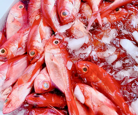 千葉県館山市から毎朝水揚げされる新鮮な鮮魚をお届けします！