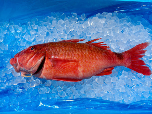 顎鬚のような髭があるので「おじさん」です。