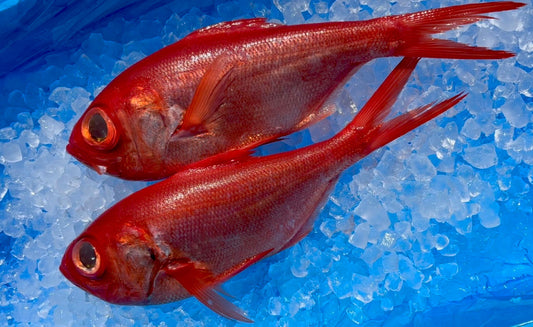 一番人気の金目鯛